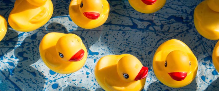 Rubberducks waiting for the next programming issue